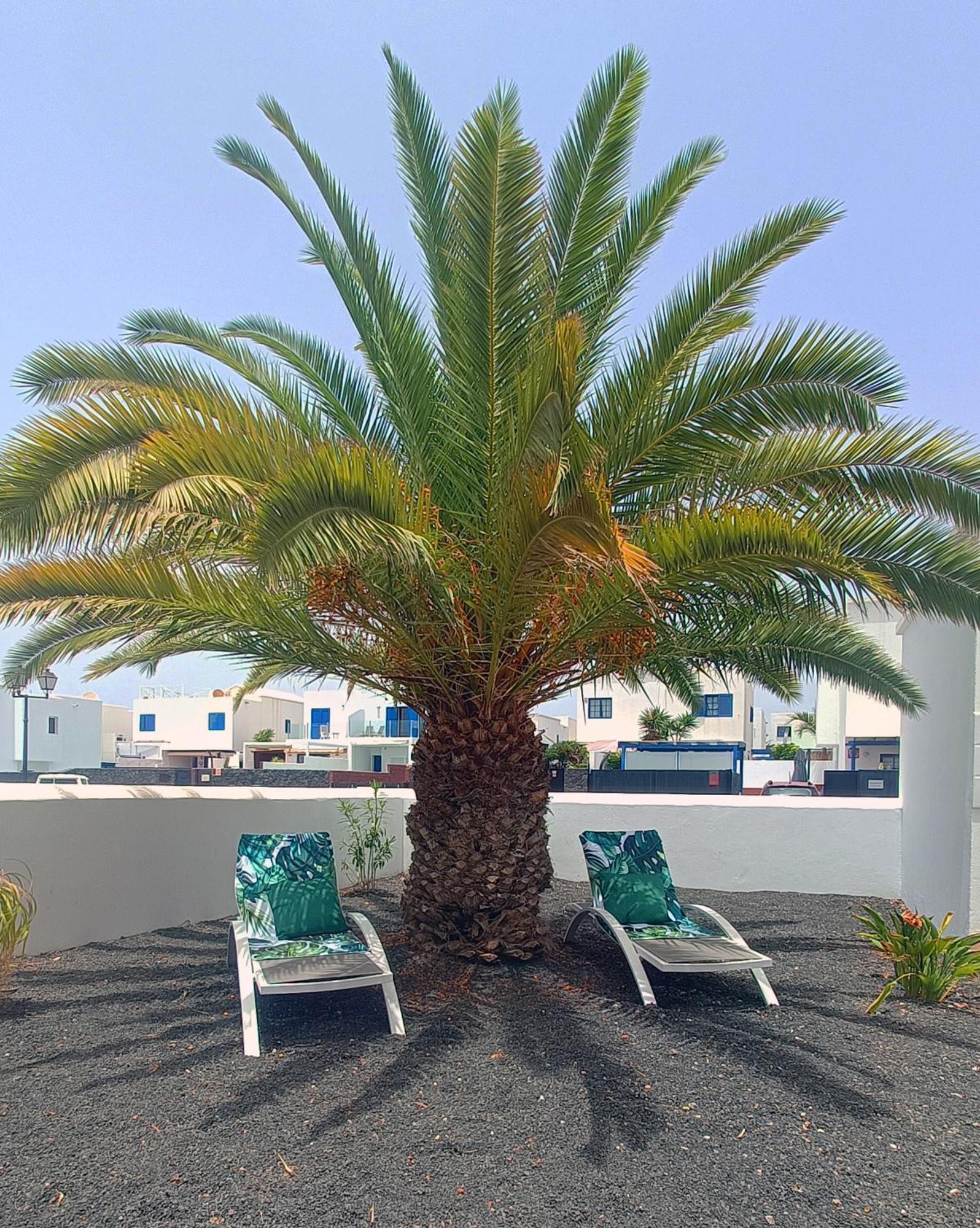 Lovely Casa Felicidad, swimming pool, Wifi x private garden Playa Blanca  Exterior foto